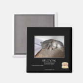 Studie Magneet (Voorkant / Achterkant)