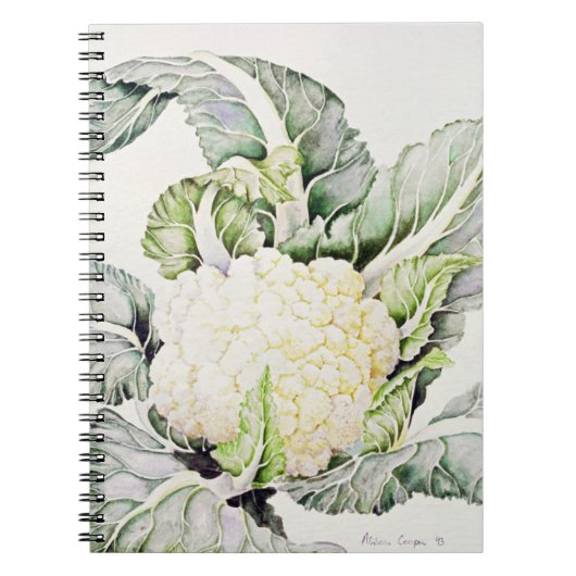 Studie met bloemkool 1993 notitieboek (Voorkant)