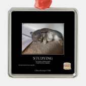 Studie Metalen Ornament (Voorkant)