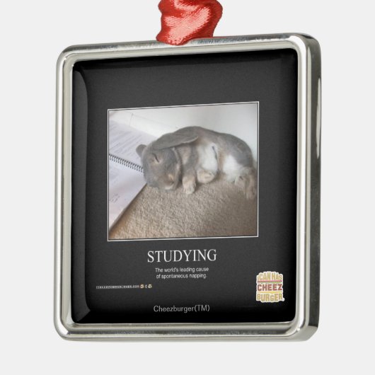 Studie Metalen Ornament (Links)