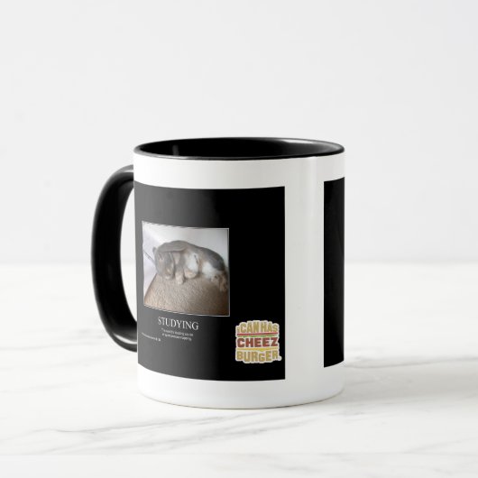 Studie Mok (Voorkant links)