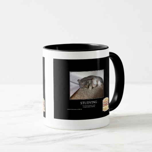 Studie Mok (Voorkant rechts)