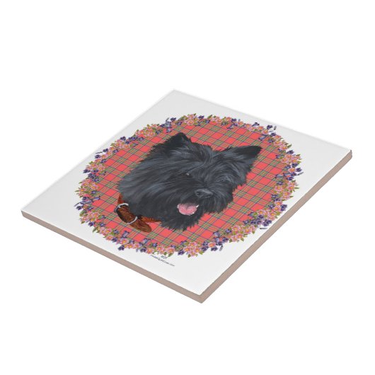 Studie naar Black Cairn Head Tegeltje (Zijkant)