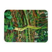 Studie naar Bow TFrench Magneet (Horizontaal)