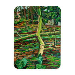 Studie naar Bow TFrench Magneet