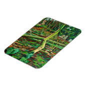 Studie naar Bow TFrench Magneet (Linkerzijde)