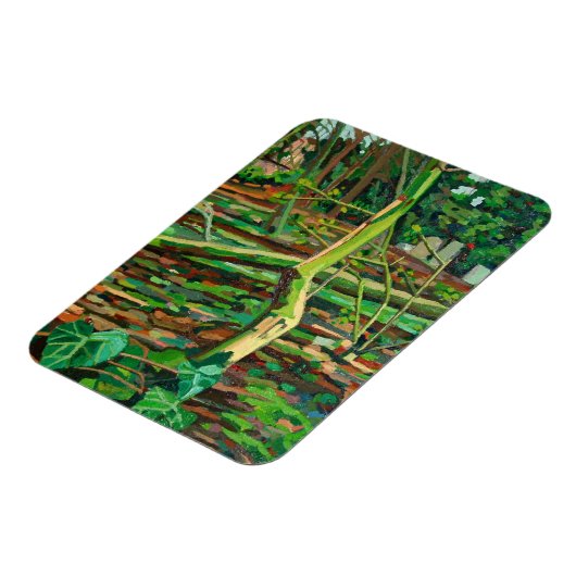 Studie naar Bow TFrench Magneet (Linkerzijde)