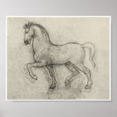 Studie naar een paard, Leonardo Da Vinci Poster (Voorkant)