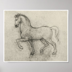 Studie naar een paard, Leonardo Da Vinci Poster