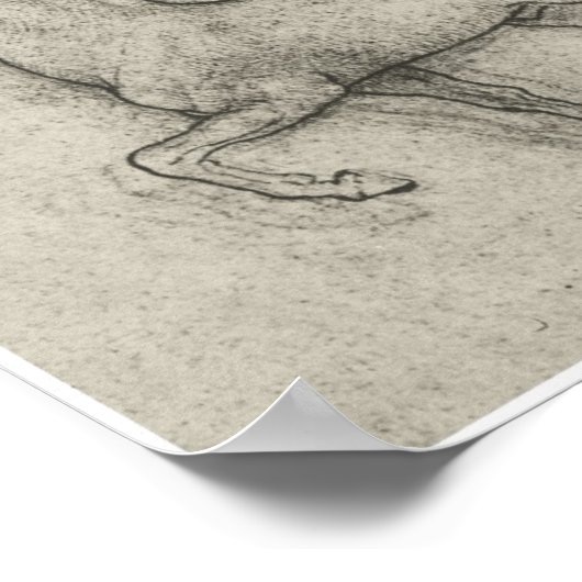 Studie naar een paard, Leonardo Da Vinci Poster (Hoek)
