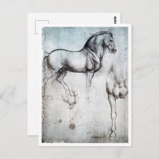 Studie naar paarden, Leonardo da Vinci Briefkaart (Voorkant / Achterkant)