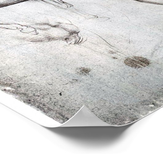 Studie naar paarden, Leonardo da Vinci Poster (Hoek)