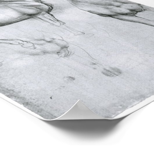 Studie naar paarden, Leonardo Da Vinci Poster (Hoek)