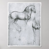 Studie naar paarden, Leonardo Da Vinci Poster (Voorkant)
