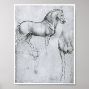 Studie naar paarden, Leonardo Da Vinci Poster