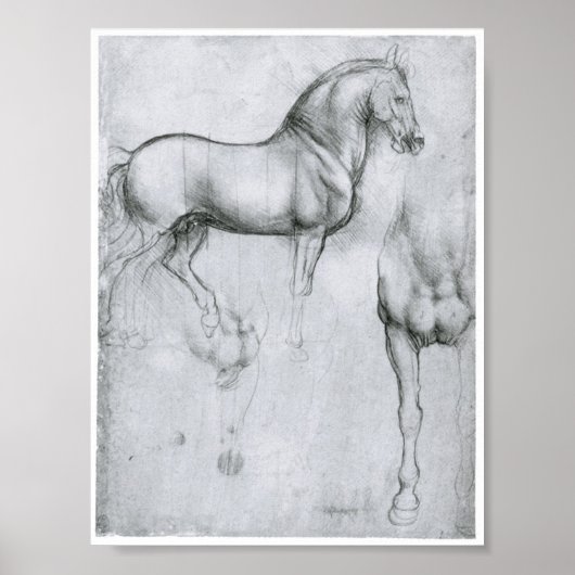 Studie naar paarden, Leonardo Da Vinci Poster (Voorkant)