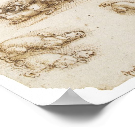 Studie van Cats, Leonardo da Vinci Poster (Hoek)