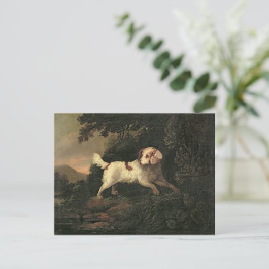 Studie van Clumber Spaniel Briefkaart (Staand voorkant)