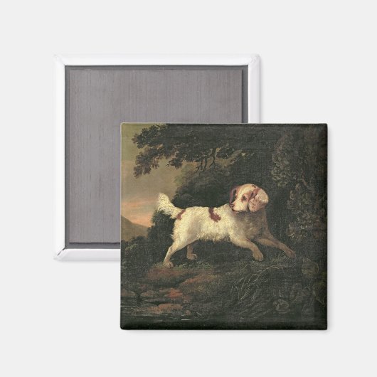 Studie van Clumber Spaniel Magneet (Voorkant / Achterkant)
