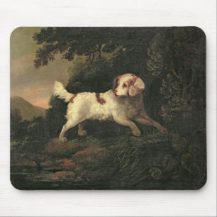 Studie van Clumber Spaniel Muismat
