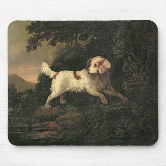 Studie van Clumber Spaniel Muismat (Voorkant)