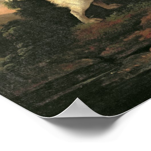 Studie van Clumber Spaniel Poster (Hoek)