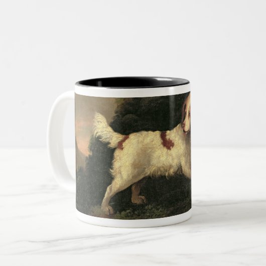 Studie van Clumber Spaniel Tweekleurige Koffiemok (Voorkant links)