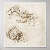 Studie van Crab, Leonardo da Vinci Poster (Voorkant)