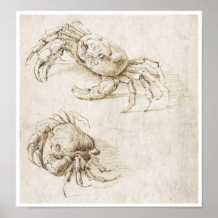 Studie van Crab, Leonardo da Vinci Poster