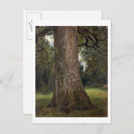 Studie van de boomstam van een Elm Tree, c.1821 (o Briefkaart (Voorkant / Achterkant)