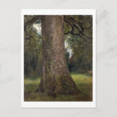 Studie van de boomstam van een Elm Tree, c.1821 (o Briefkaart (Voorkant)