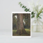 Studie van de boomstam van een Elm Tree, c.1821 (o Briefkaart (Staand voorkant)