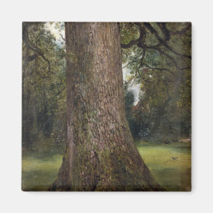 Studie van de boomstam van een Elm Tree, c.1821 (o Magneet