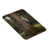 Studie van de boomstam van een Elm Tree, c.1821 (o Magneet (Rechterzijde)