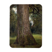 Studie van de boomstam van een Elm Tree, c.1821 (o Magneet (Verticaal)