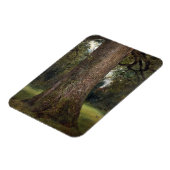 Studie van de boomstam van een Elm Tree, c.1821 (o Magneet (Linkerzijde)