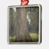 Studie van de boomstam van een Elm Tree, c.1821 (o Metalen Ornament (Links)