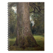 Studie van de boomstam van een Elm Tree, c.1821 (o Notitieboek (Voorkant)