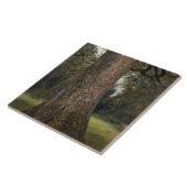 Studie van de boomstam van een Elm Tree, c.1821 (o Tegeltje (Zijkant)