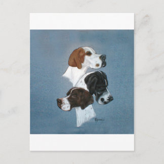 Studie van de Engelse pointer Trio Head Briefkaart