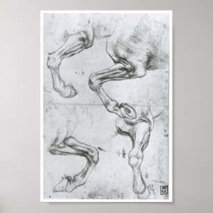 Studie van de Legs van een paard, Leonardo Da Vinc Poster