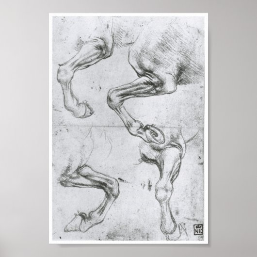 Studie van de Legs van een paard, Leonardo Da Vinc Poster (Voorkant)