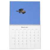 Studie van de Seahawk Kalender (Mar 2027)
