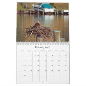 Studie van de Seahawk Kalender (Feb 2027)