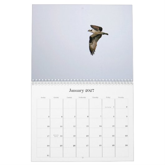 Studie van de Seahawk Kalender (Jan 2027)