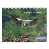 Studie van de Seahawk Kalender (Hoes)