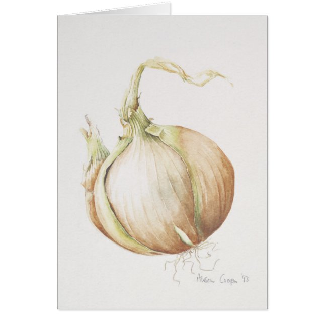 Studie van de Ui 1993 (Voorkant)