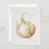 Studie van de Ui 1993 Briefkaart (Voorkant / Achterkant)