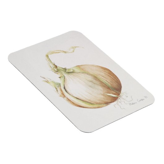 Studie van de Ui 1993 Magneet (Rechterzijde)