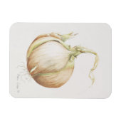 Studie van de Ui 1993 Magneet (Horizontaal)